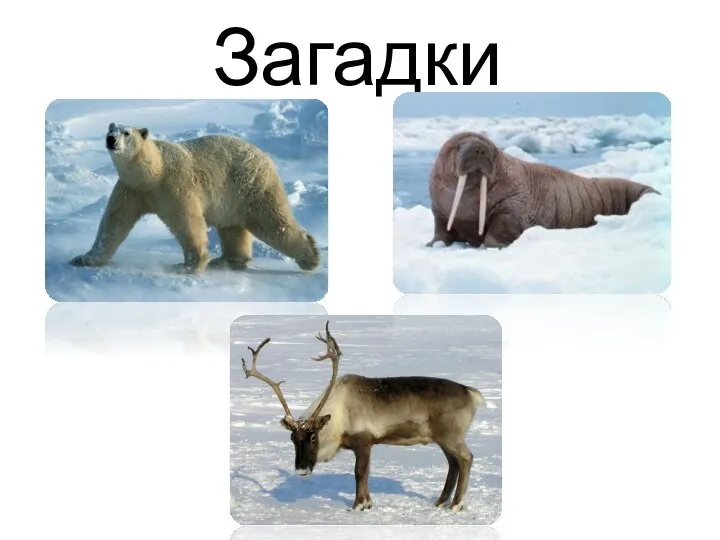 Загадки