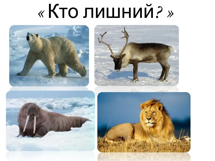 « Кто лишний? »