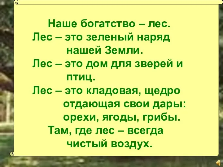 Наше богатство – лес. Лес – это зеленый наряд нашей