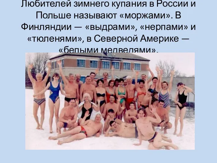 Любителей зимнего купания в России и Польше называют «моржами». В
