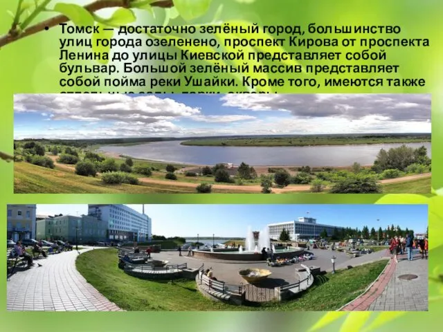 Томск — достаточно зелёный город, большинство улиц города озеленено, проспект Кирова от проспекта