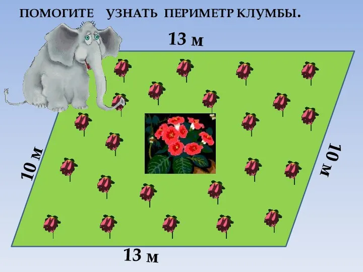 10 м 13 м 13 м 10 м ПОМОГИТЕ УЗНАТЬ ПЕРИМЕТР КЛУМБЫ.