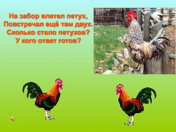 На забор влетел петух, Повстречал ещё там двух. Сколько стало петухов? У кого ответ готов?