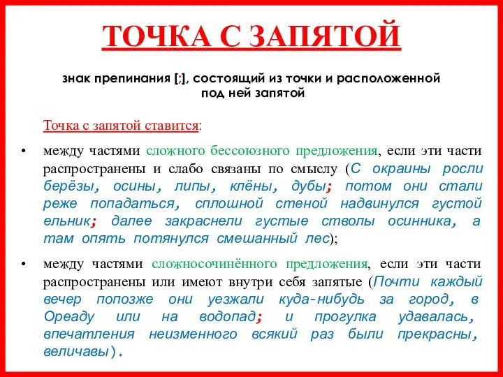 ТОЧКА С ЗАПЯТОЙ знак препинания [;], состоящий из точки и