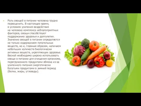 Роль овощей в питании человека трудно переоценить. В настоящее время,