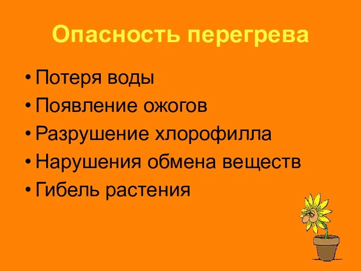 Опасность перегрева Потеря воды Появление ожогов Разрушение хлорофилла Нарушения обмена веществ Гибель растения