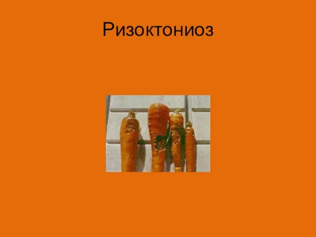 Ризоктониоз