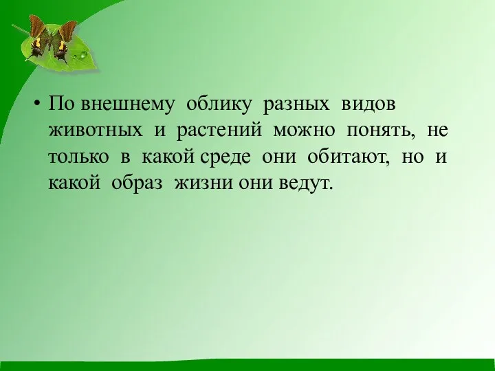 По внешнему облику разных видов животных и растений можно понять,