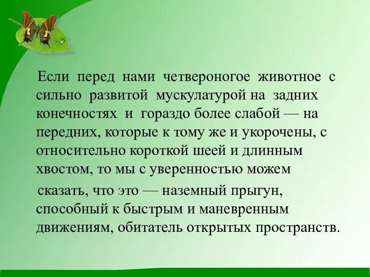 Если перед нами четвероногое животное с сильно развитой мускулатурой на