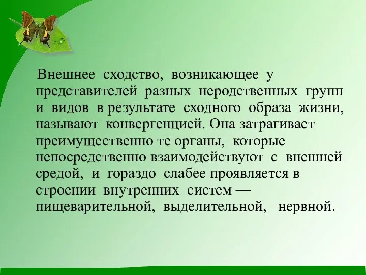 Внешнее сходство, возникающее у представителей разных неродственных групп и видов