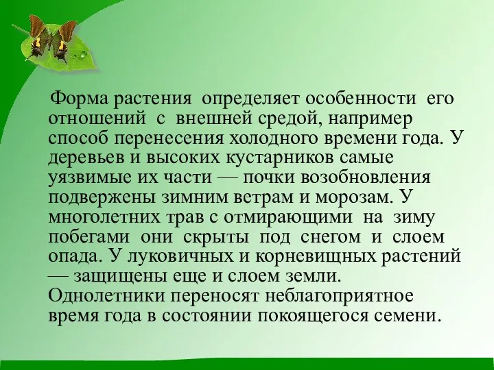 Форма растения определяет особенности его отношений с внешней средой, например