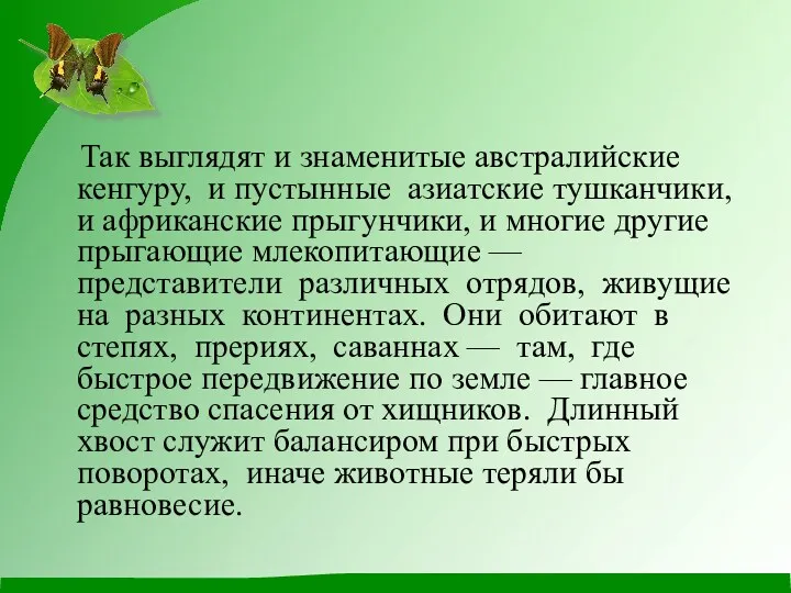 Так выглядят и знаменитые австралийские кенгуру, и пустынные азиатские тушканчики,