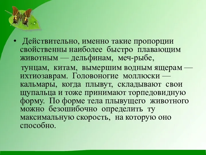 Действительно, именно такие пропорции свойственны наиболее быстро плавающим животным —