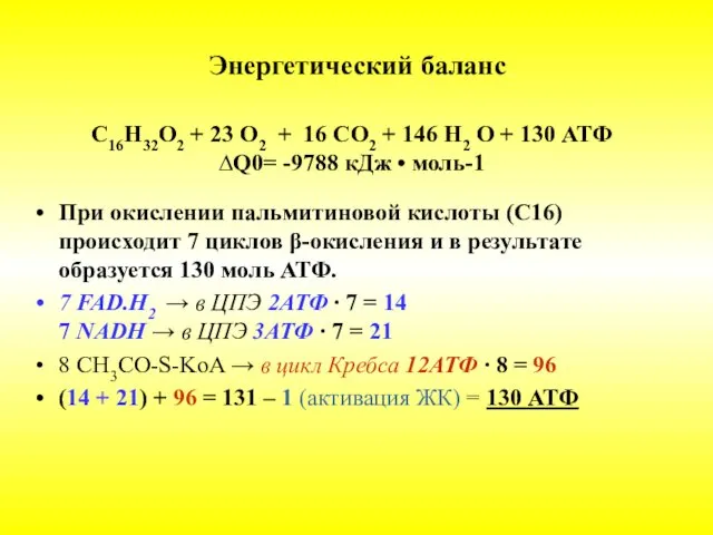 Энергетический баланс При окислении пальмитиновой кислоты (С16) происходит 7 циклов