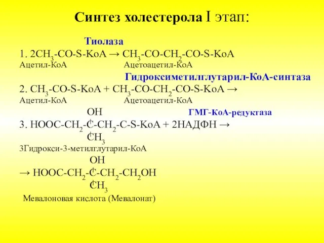 Синтез холестерола I этап: Тиолаза 1. 2СН3-CО-S-KoA → СН3-CО-СН2-СО-S-KoA Ацетил-КоА