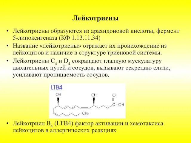 Лейкотриены Лейкотриены образуются из арахидоновой кислоты, фермент 5-липоксигеназа (КФ 1.13.11.34)