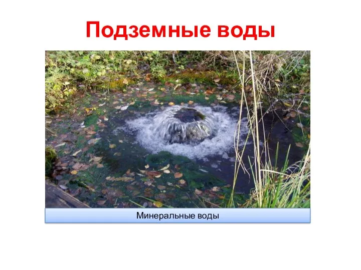 Подземные воды Минеральные воды