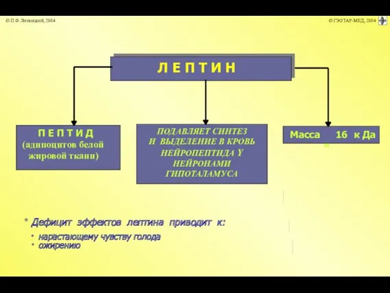 * Дефицит эффектов лептина приводит к: ∙ нарастающему чувству голода