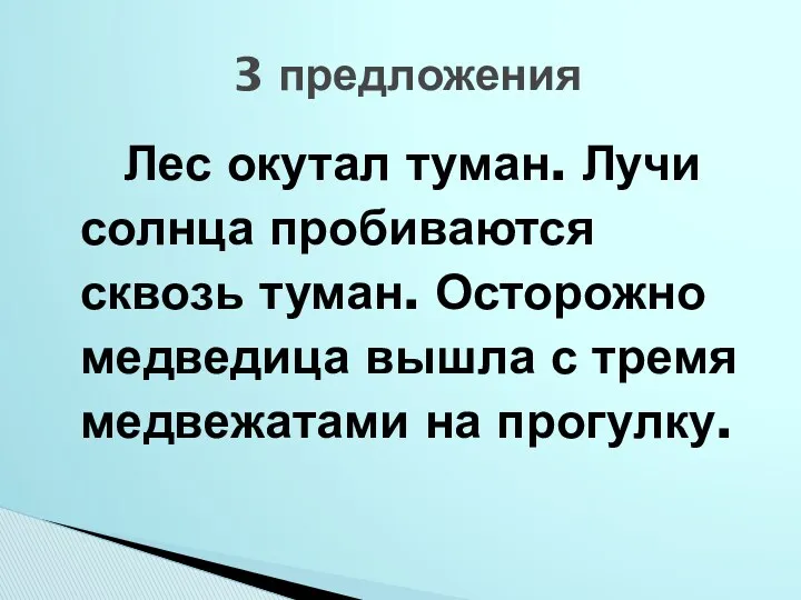 Лес окутал туман. Лучи солнца пробиваются сквозь туман. Осторожно медведица