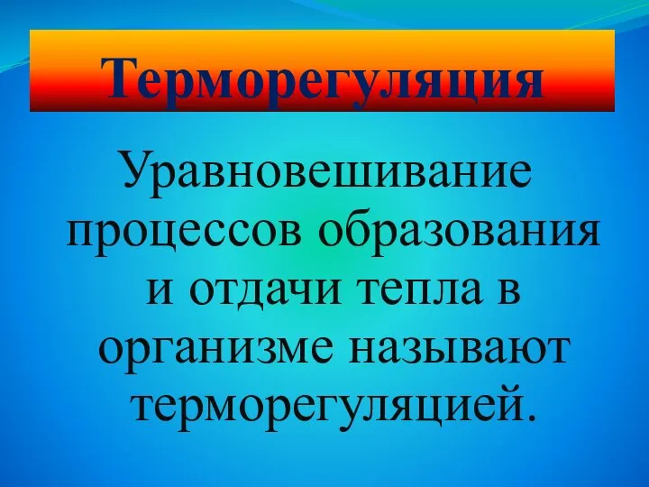 Терморегуляция Уравновешивание процессов образования и отдачи тепла в организме называют терморегуляцией.