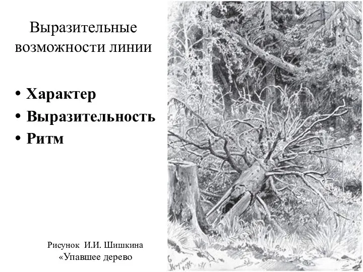 Выразительные возможности линии Характер Выразительность Ритм Рисунок И.И. Шишкина «Упавшее дерево