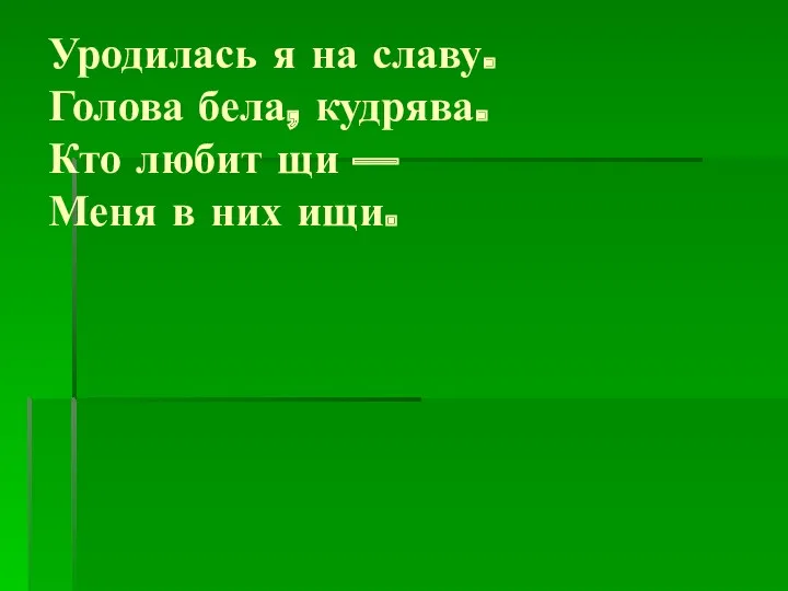 Уродилась я на славу. Голова бела, кудрява. Кто любит щи — Меня в них ищи.