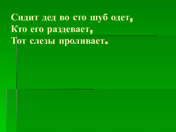 Сидит дед во сто шуб одет, Кто его раздевает, Тот слезы проливает.