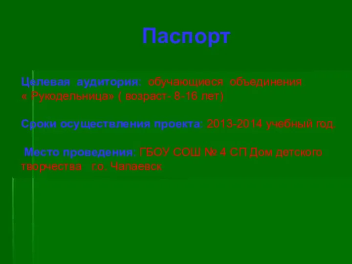 Паспорт Целевая аудитория: обучающиеся объединения « Рукодельница» ( возраст- 8-16