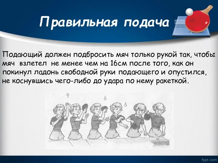 Правильная подача Подающий должен подбросить мяч только рукой так, чтобы мяч взлетел не