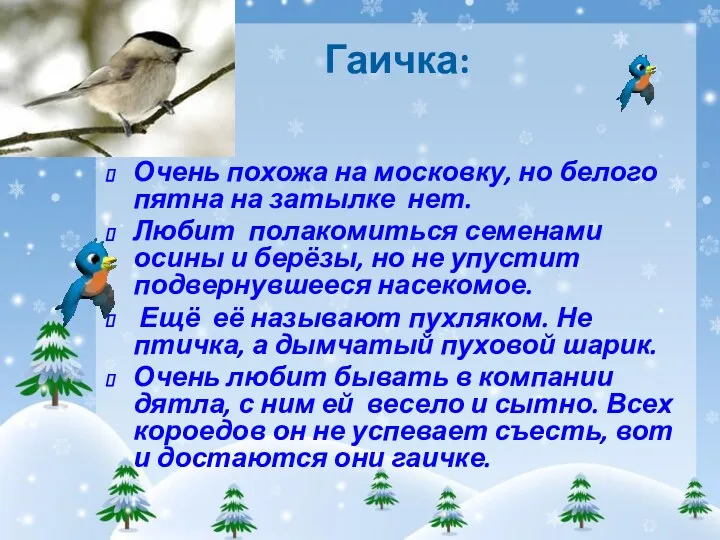 Гаичка: Очень похожа на московку, но белого пятна на затылке