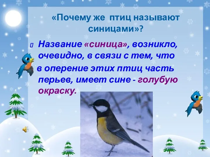 «Почему же птиц называют синицами»? Название «синица», возникло, очевидно, в