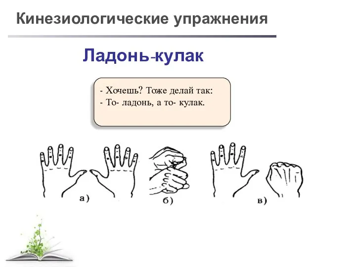 Кинезиологические упражнения - Хочешь? Тоже делай так: - То- ладонь, а то- кулак. Ладонь-кулак