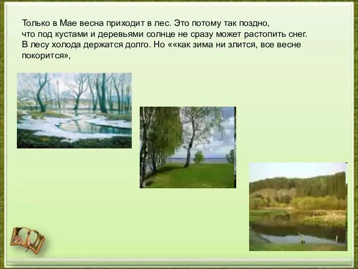 http://aida.ucoz.ru Только в Мае весна приходит в лес. Это потому так поздно, что
