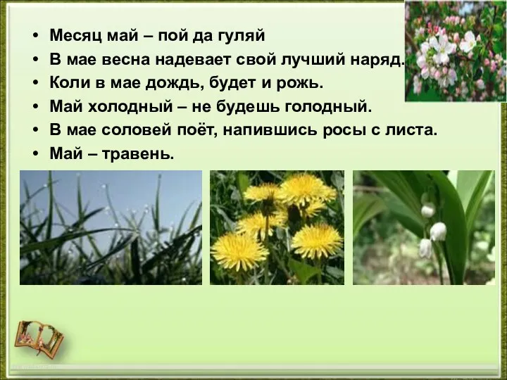 http://aida.ucoz.ru Месяц май – пой да гуляй В мае весна надевает свой лучший