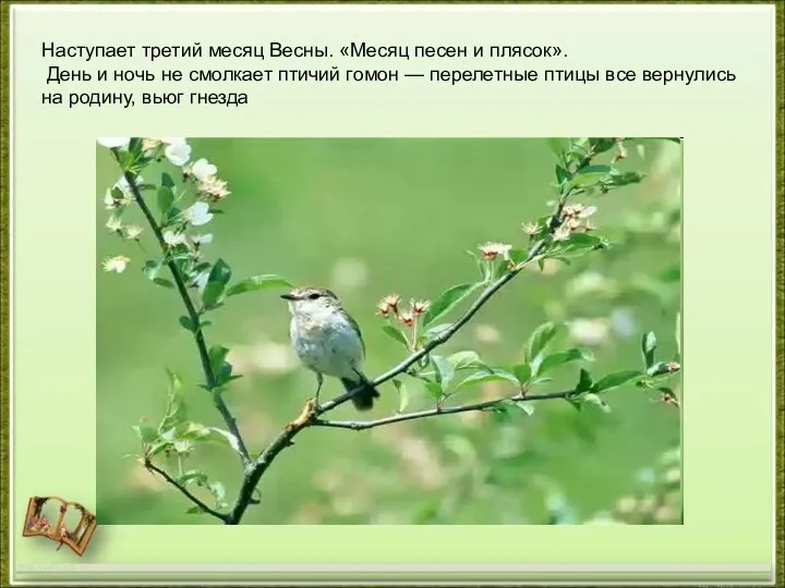 http://aida.ucoz.ru Наступает третий месяц Весны. «Месяц песен и плясок». День и ночь не