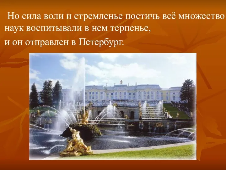 Но сила воли и стремленье постичь всё множество наук воспитывали в нем терпенье,