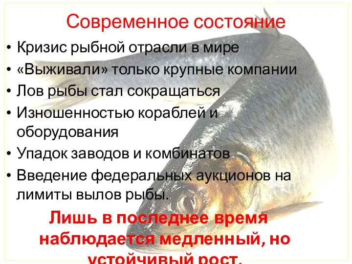 Современное состояние Кризис рыбной отрасли в мире «Выживали» только крупные компании Лов рыбы