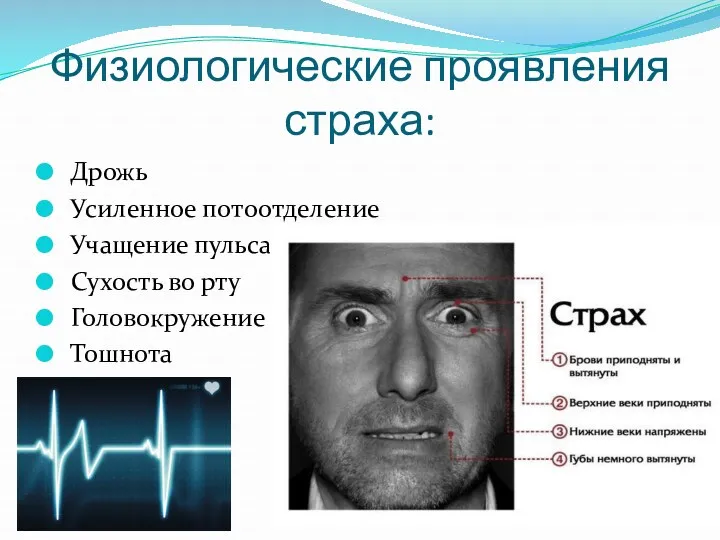 Физиологические проявления страха: Дрожь Усиленное потоотделение Учащение пульса Сухость во рту Головокружение Тошнота