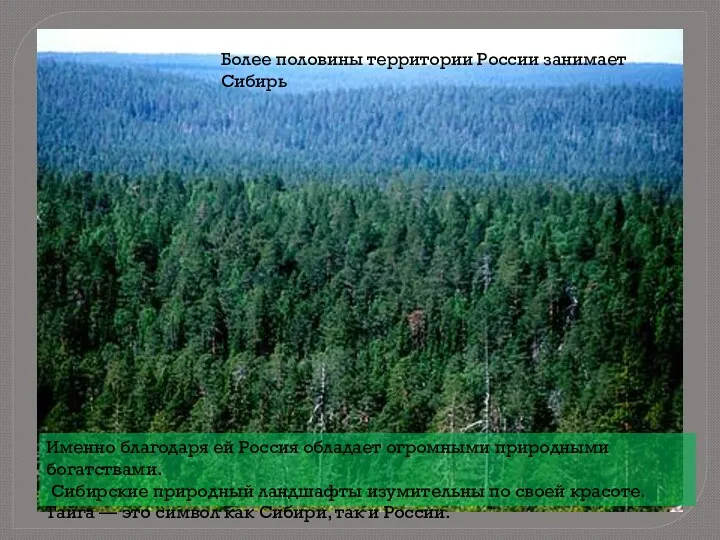 Более половины территории России занимает Сибирь Именно благодаря ей Россия