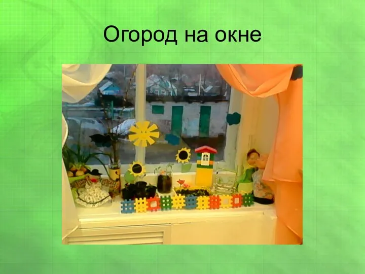 Огород на окне