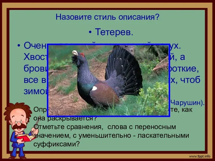 Назовите стиль описания? Тетерев. Очень красивый этот лесной петух. Хвост