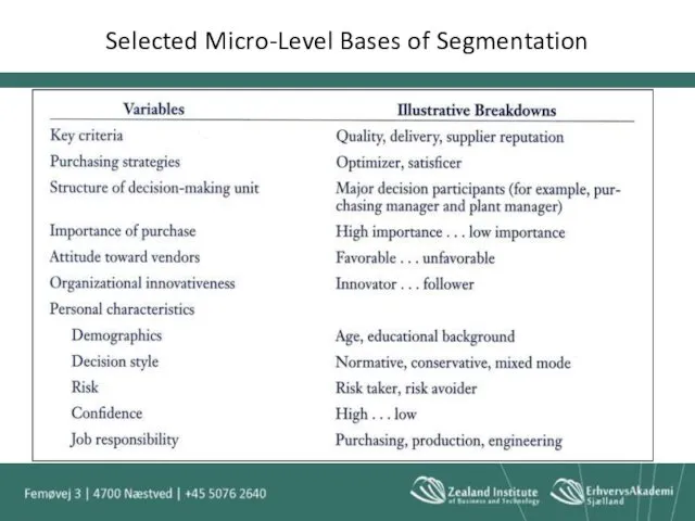 Selected Micro-Level Bases of Segmentation
