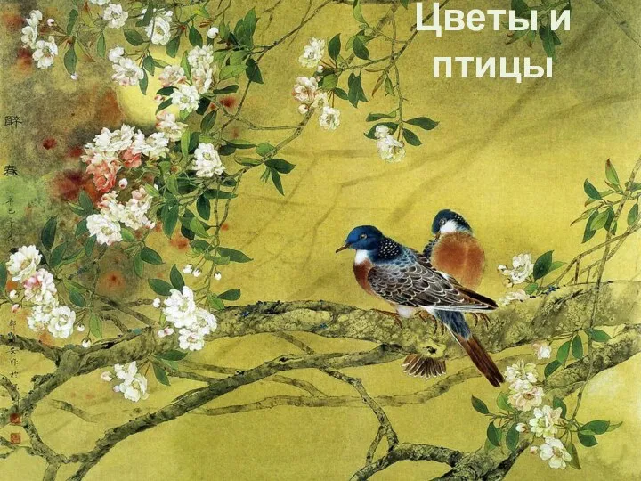 Цветы и птицы