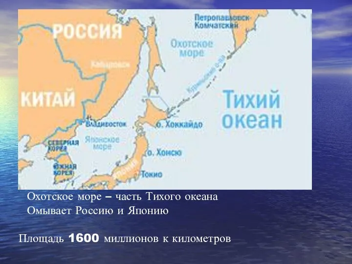 Охотское море – часть Тихого океана Омывает Россию и Японию Площадь 1600 миллионов к километров