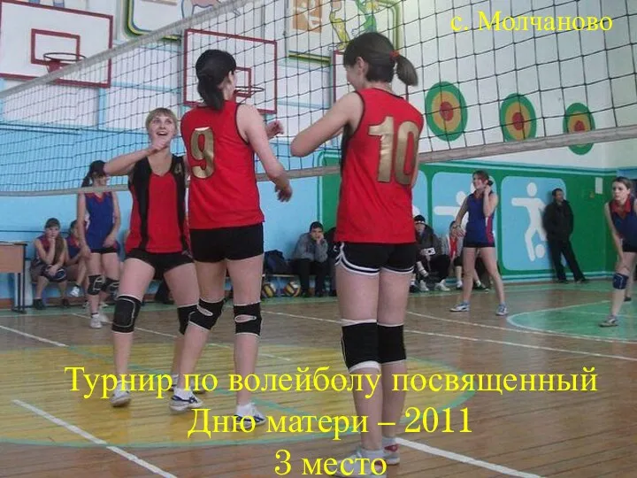 Турнир по волейболу посвященный Дню матери – 2011 3 место с. Молчаново