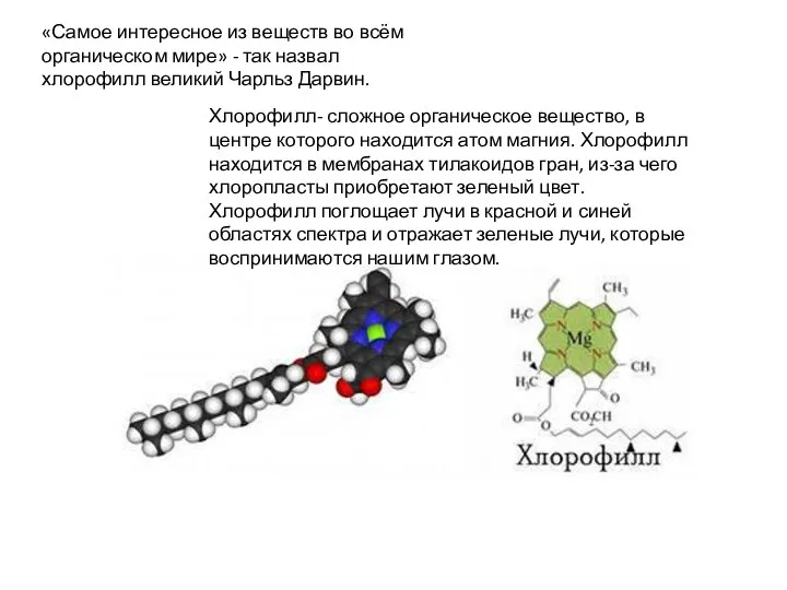 «Самое интересное из веществ во всём органическом мире» - так