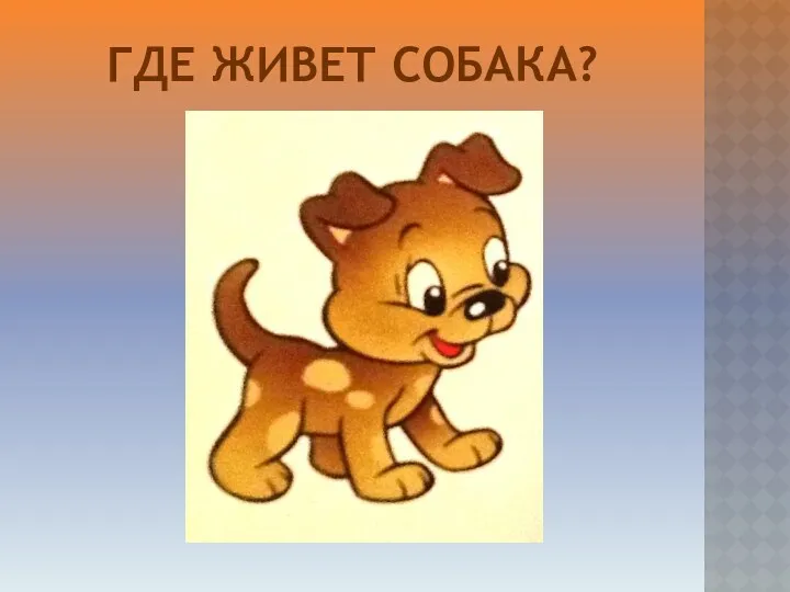 Где живет собака?