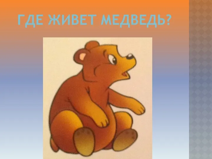 Где живет медведь?