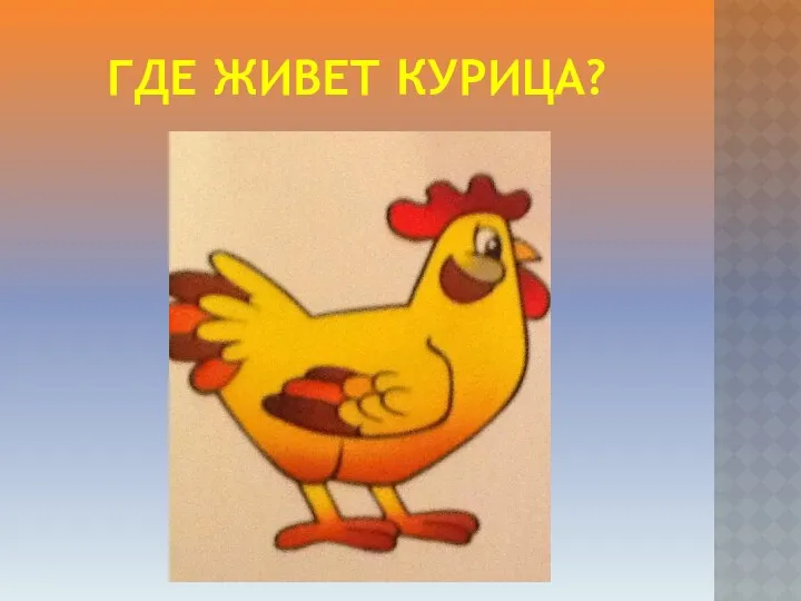 Где живет курица?