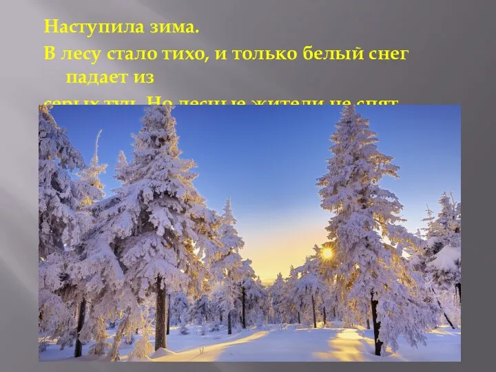 Наступила зима. В лесу стало тихо, и только белый снег